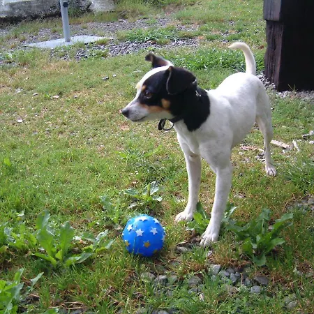 Albergue Eskerika Exclusivo Peregrinos Esquerica