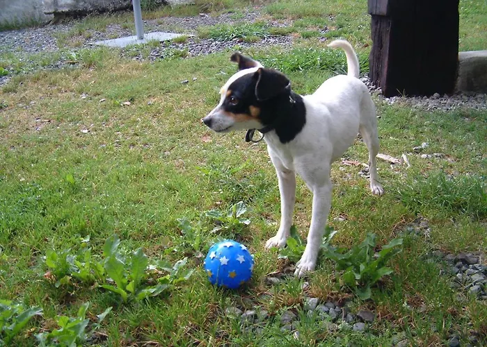 Albergue Eskerika Exclusivo Peregrinos Esquerica